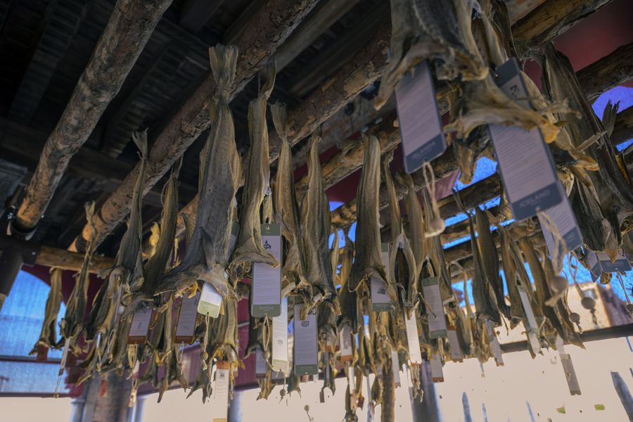 Stoccafissi appesi sotto il soffitto di legno della loggia del Mercato del Pesce